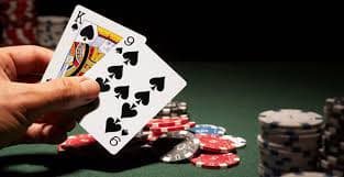 piloto bet