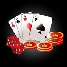 piloto bet